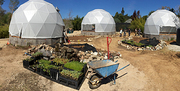 photo of The Harrisons "Future Garden" (Installation view, 2018)